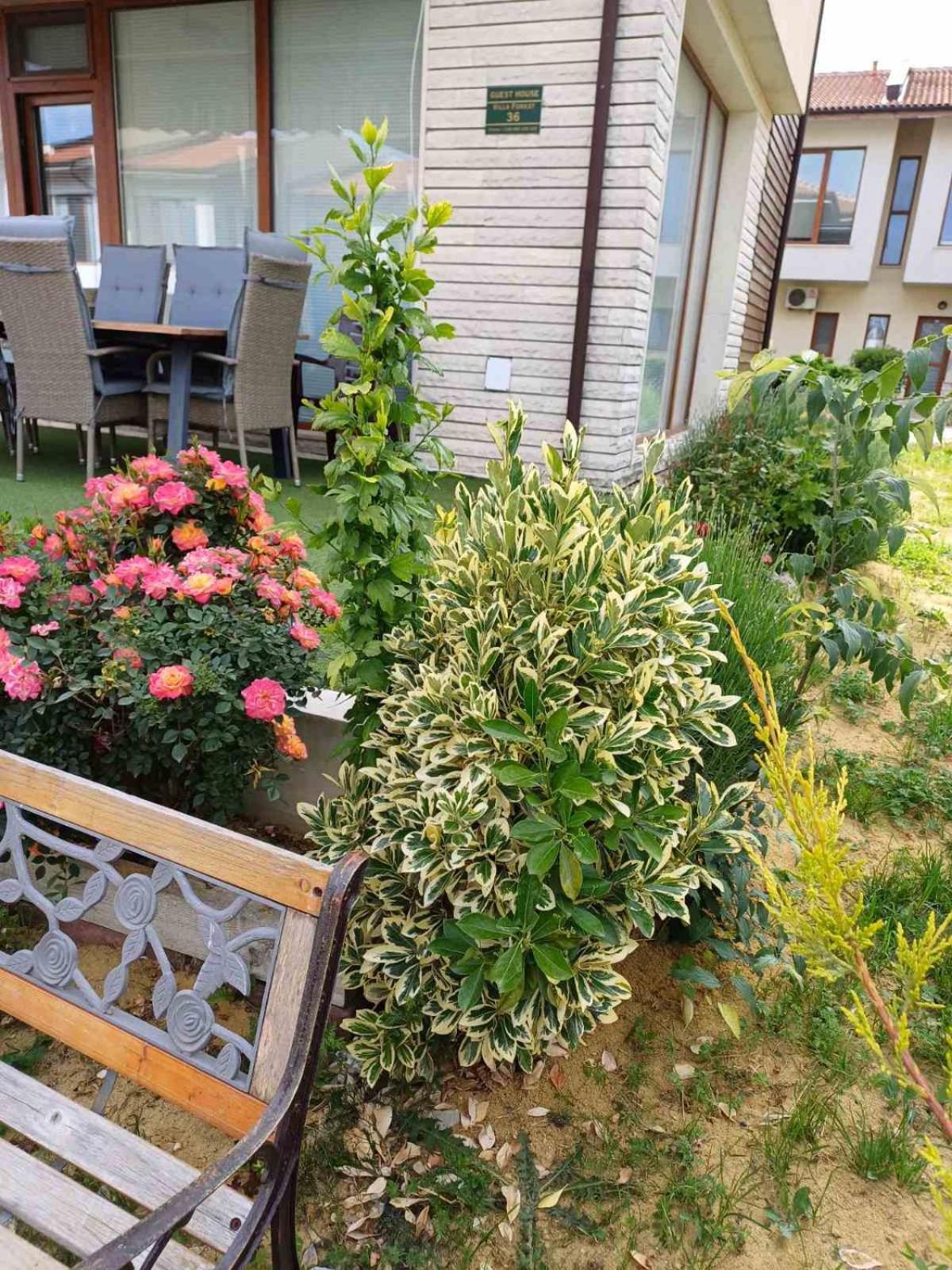 בלצ'יק Lighthouse 3 Bedrooms Villa F36 מראה חיצוני תמונה